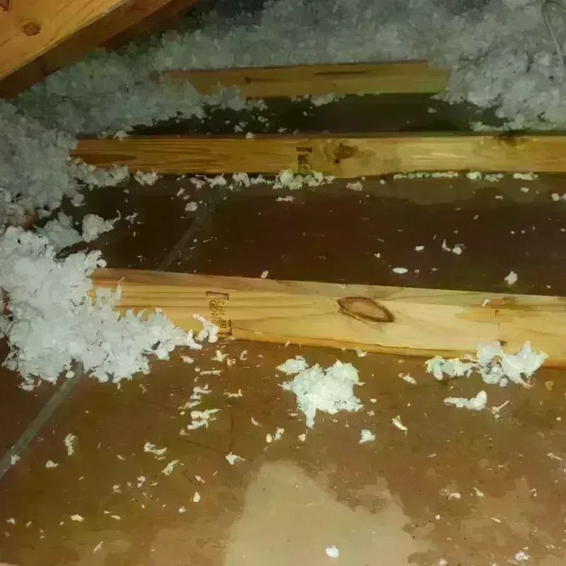 Attic Water Damage in Vinton, IA