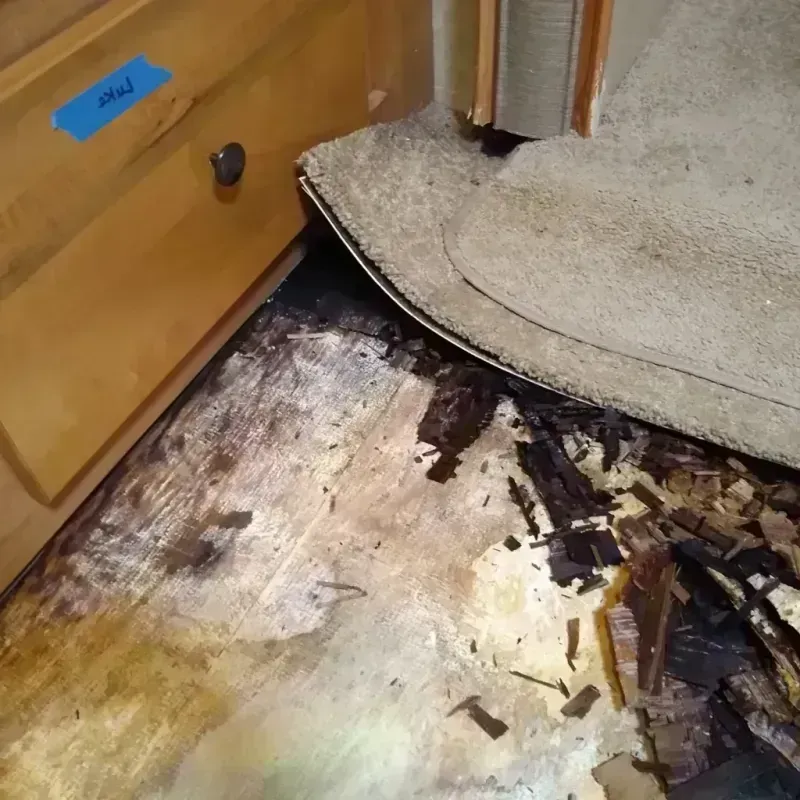 Best Wood Floor Water Damage Service in Vinton, IA